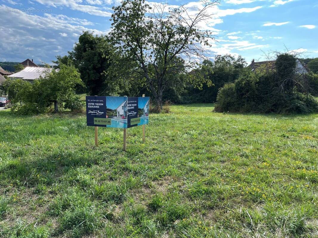 Terrain à TRAUBACH-LE-HAUT