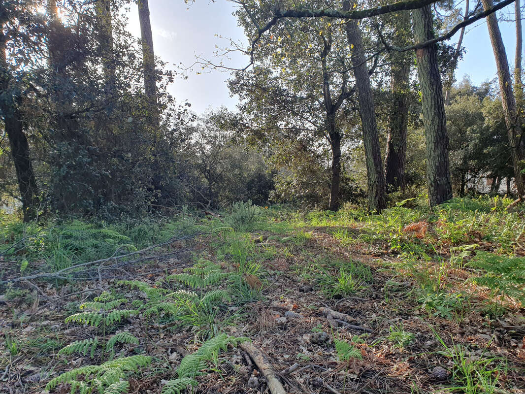Terrain à JARD-SUR-MER