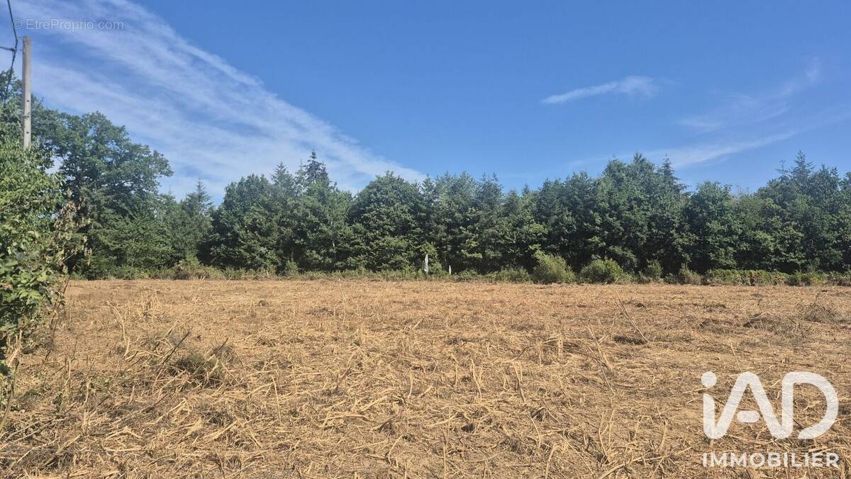 Photo 1 - Terrain à ROYERES
