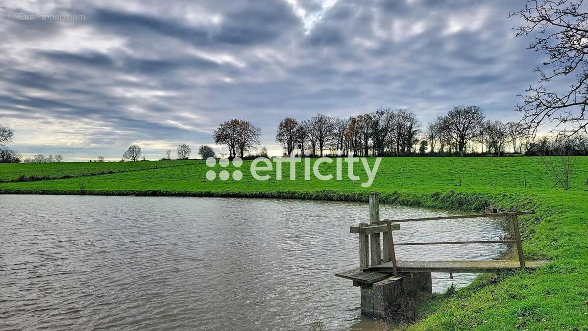 Terrain à LA FERRIERE