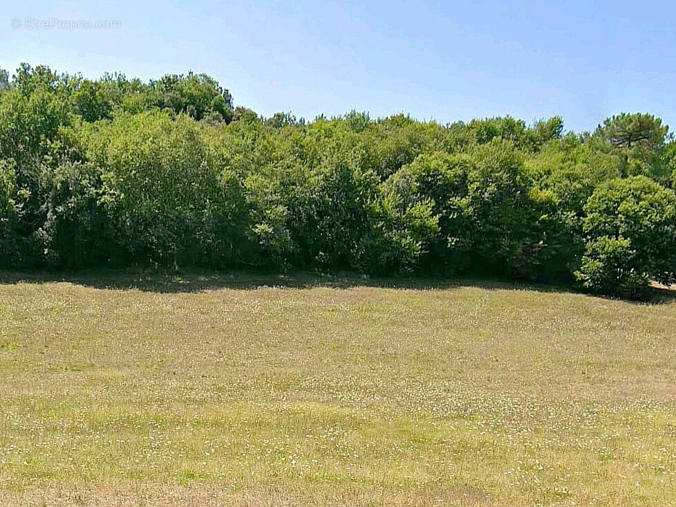 Terrain à SAINT-VINCENT-LE-PALUEL
