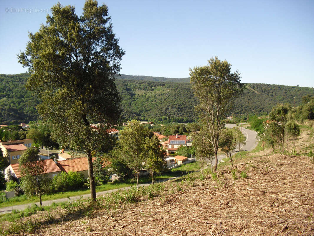 Terrain à AMELIE-LES-BAINS-PALALDA