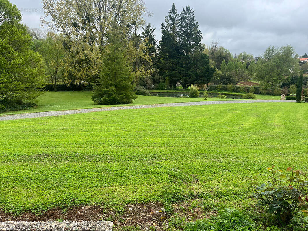 Maison à CELLES-SUR-BELLE