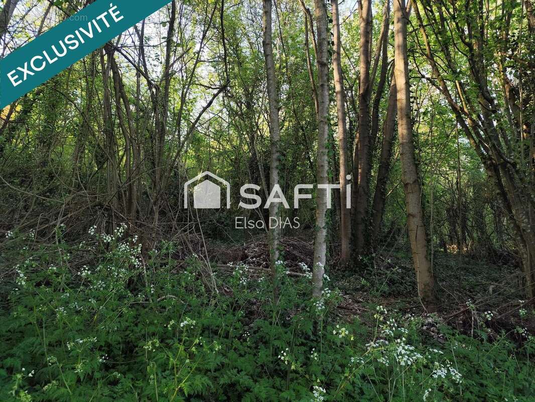 Photo 4 - Terrain à CHATEAU-THIERRY