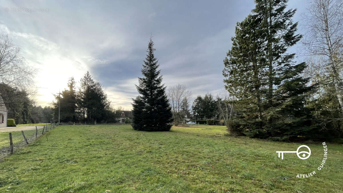 Terrain à MONTRIEUX-EN-SOLOGNE