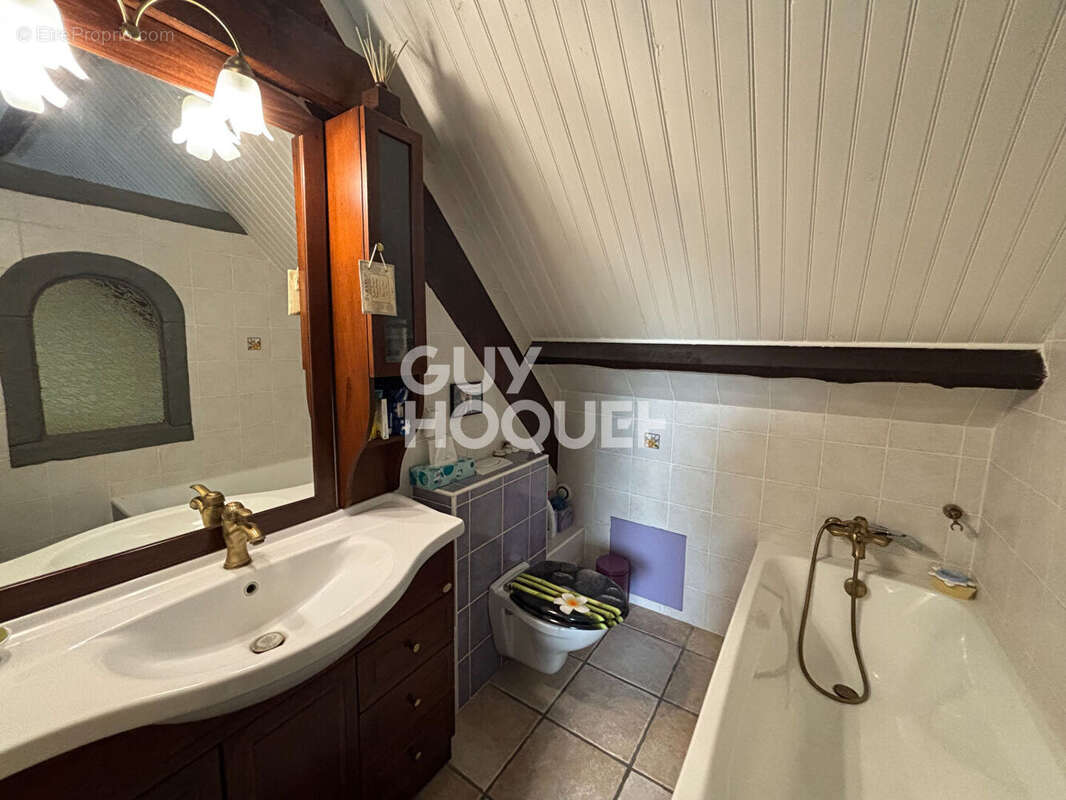 Maison à OZOUER-LE-VOULGIS