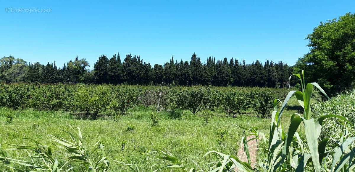 Maison à VALLABREGUES