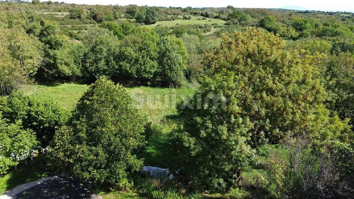 Maison à SAINT-GINEIS-EN-COIRON