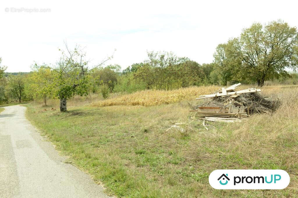 Terrain à FLORESSAS