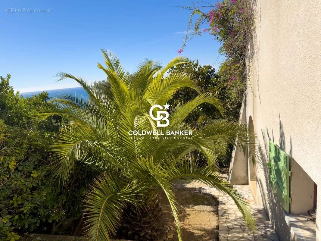 Villa vue mer, domaine privé - 83320 Carqueiranne - photo 15