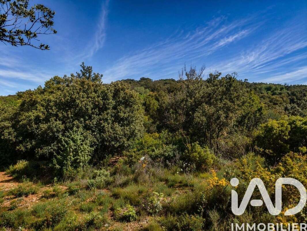 Photo 8 - Terrain à NEFFIES