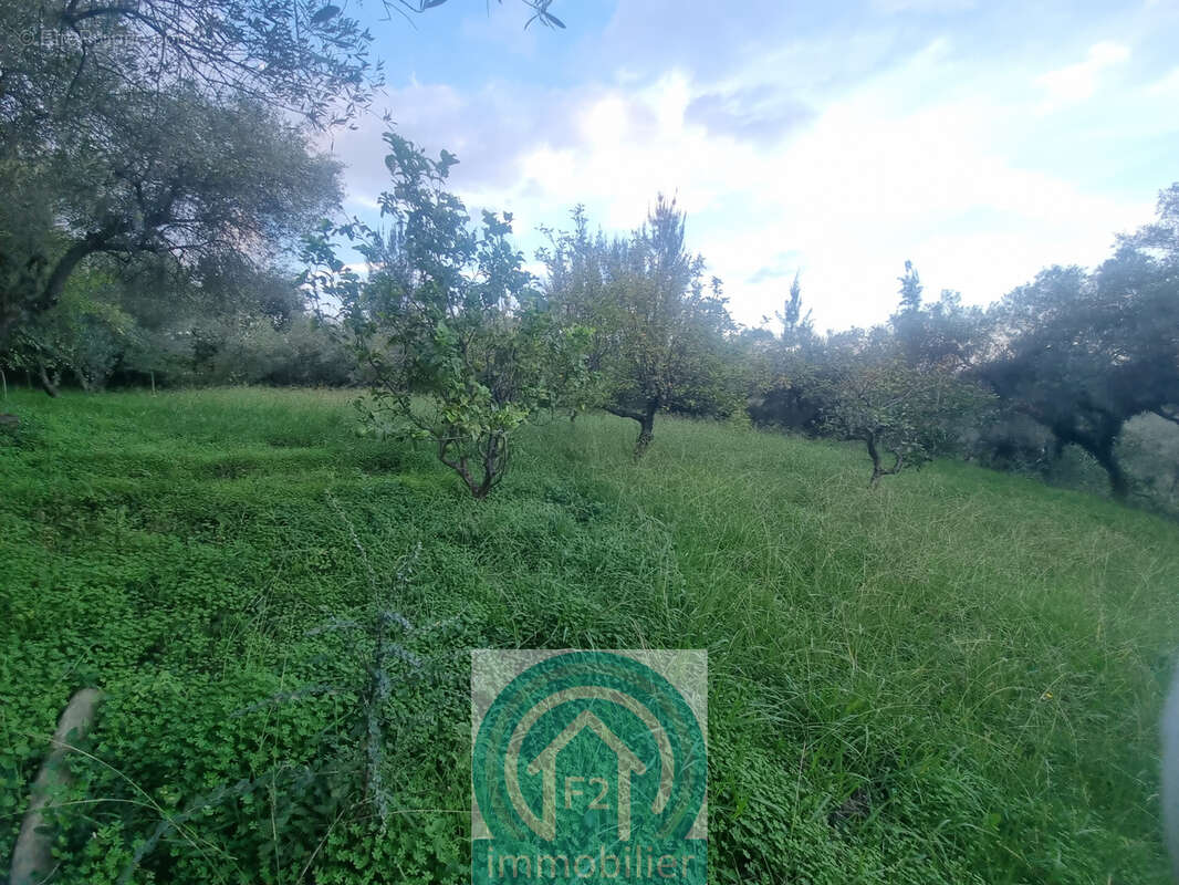 Grande propriété de 190m2 avec 19580m2 de terrain, à Santa Maria Poggio - photo 18
