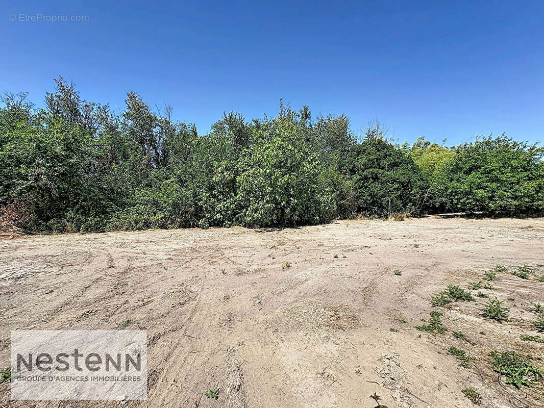 Terrain Beauvoir Sur Mer 637 m2 - photo 2