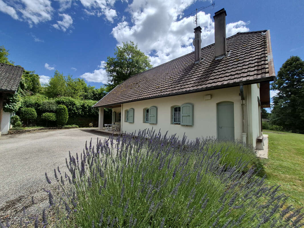 Maison à BELLEY