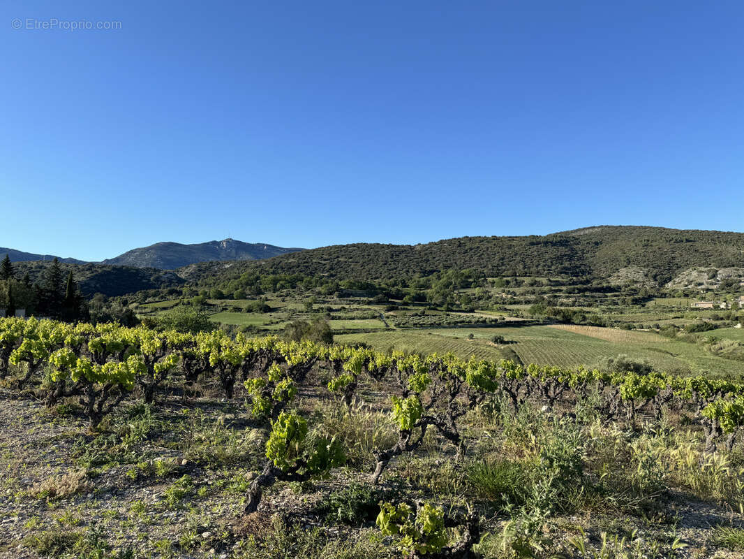 Terrain à MONTPEYROUX