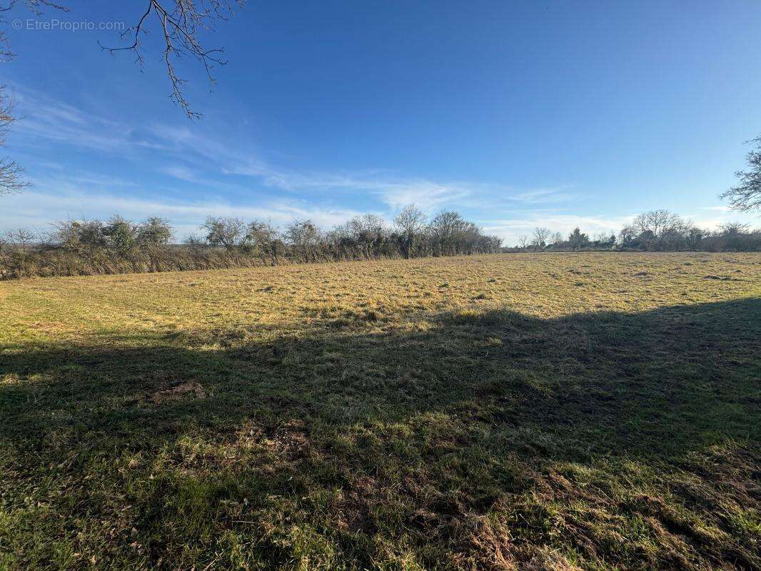 Terrain à AINAY-LE-CHATEAU