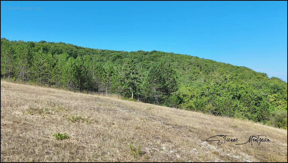 Terrain à SAINT-GERMAIN-DU-BEL-AIR