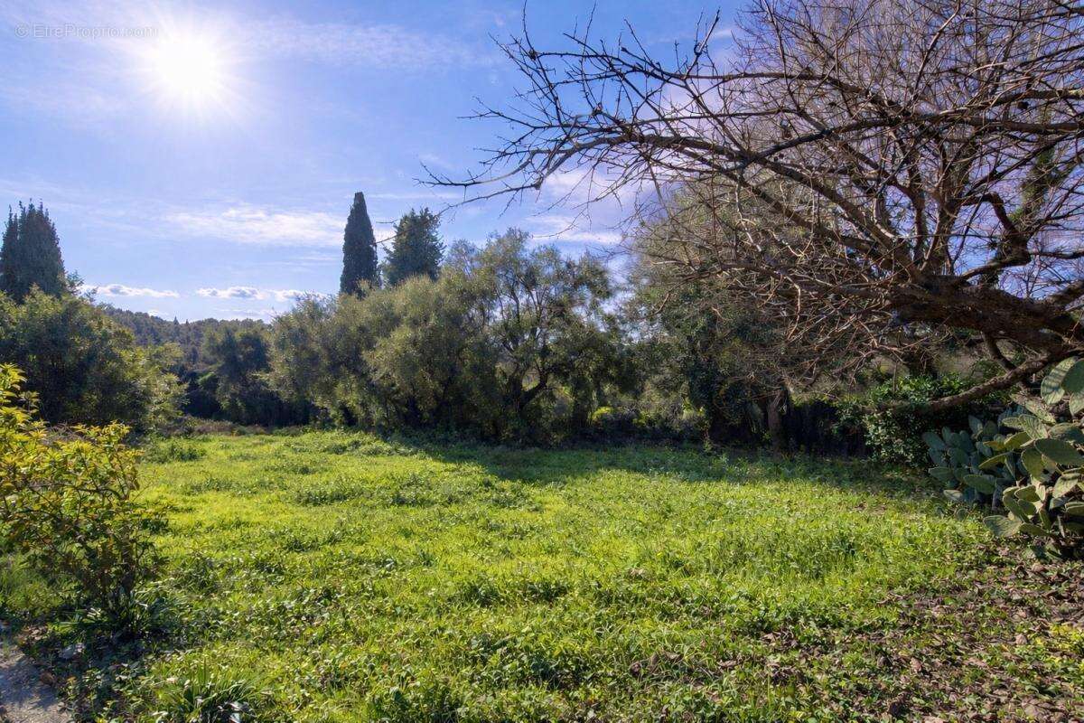 Terrain à VENCE