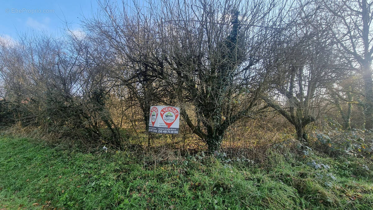 Terrain à VIGNOUX-SUR-BARANGEON