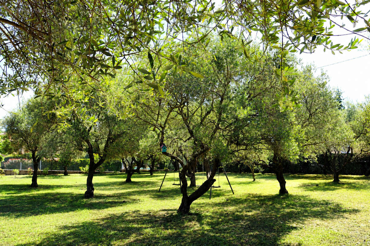 Grasse, PLASCASSIER : Rare à la vente Maison de Plain Pied sur Terrain Plat Entièrement Rénovée - photo 5