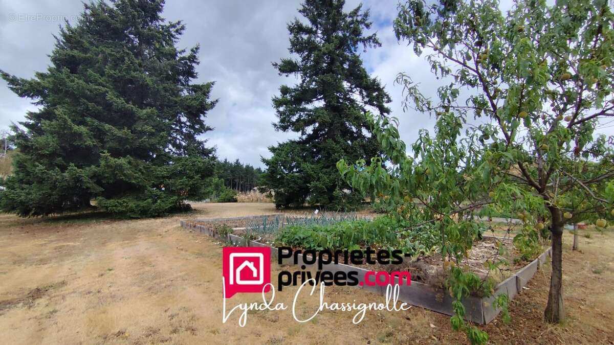 Parcelle constructible - Côte Roannaise - 1100 m2 - photo 3