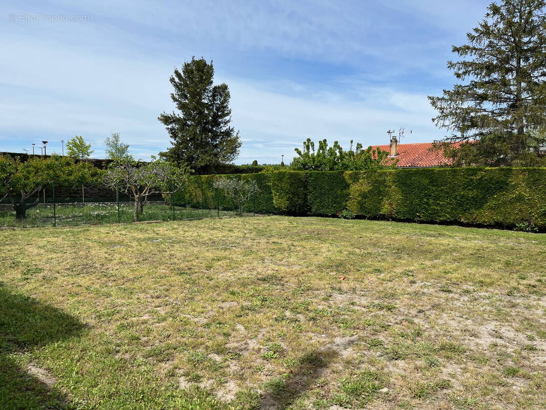 Terrain à PERNES-LES-FONTAINES