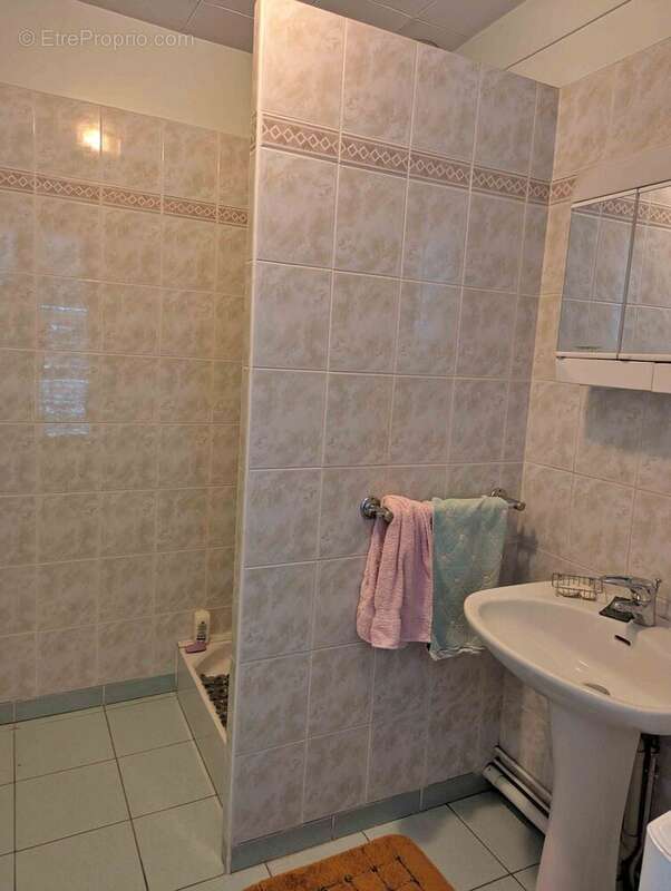 salle d\'eau à Coulanges sur Yonne - Maison à COULANGES-SUR-YONNE