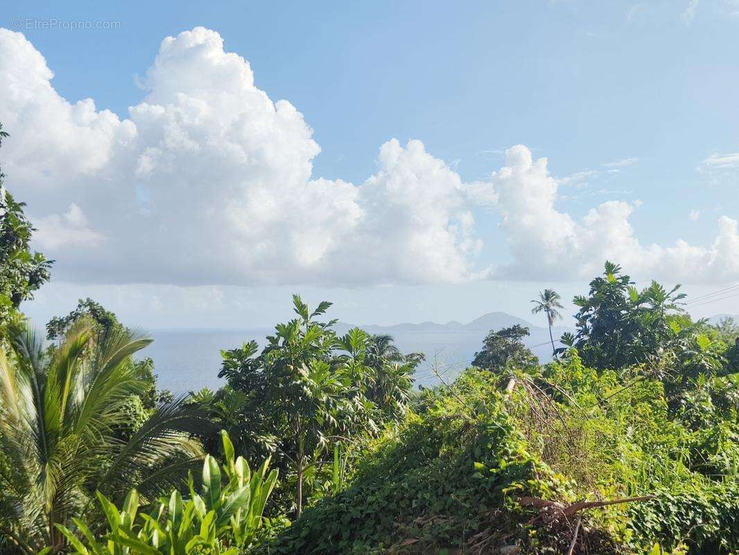 Maison à CAPESTERRE-BELLE-EAU