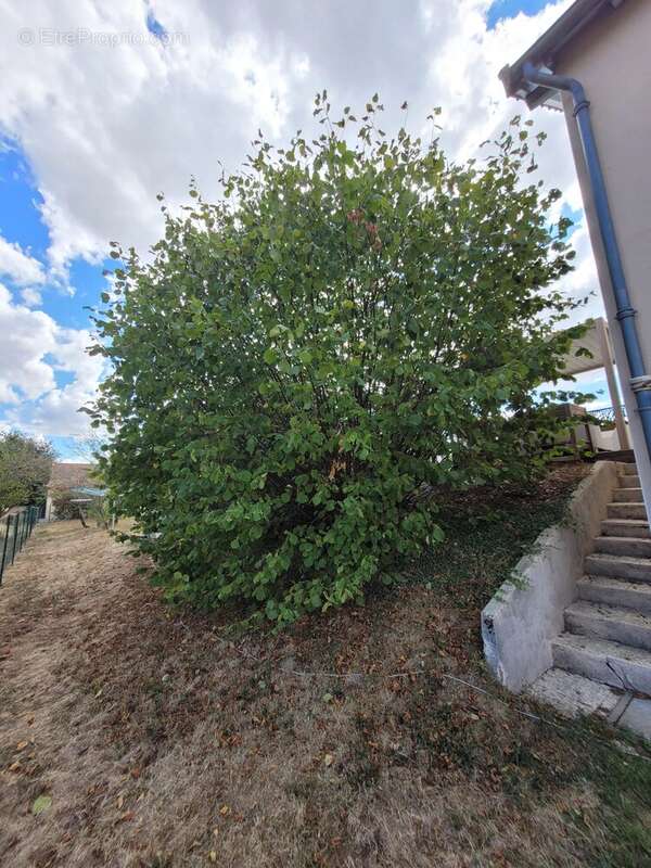 Pavillon PMR 4 chambres entre Montmarault et Cosne d'Allier - photo 39
