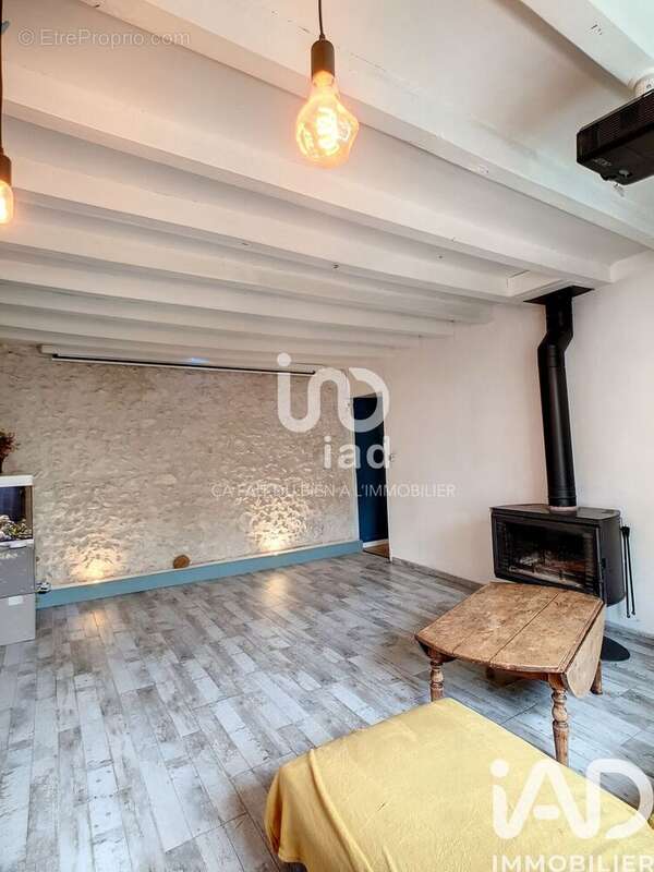 Maison 165 m² à Pont-De-Ruan  - photo 9