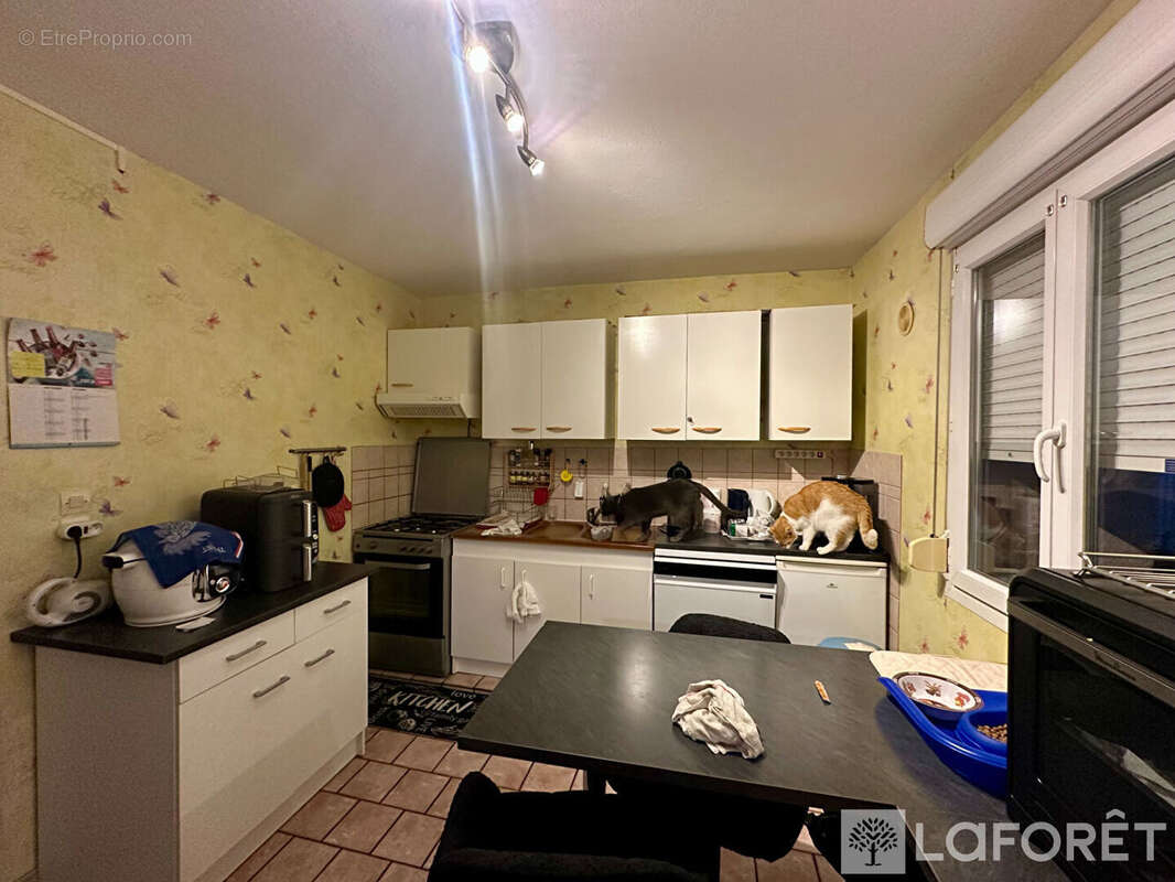 Maison Docelles 4 pièce(s) 83 m2 - photo 3