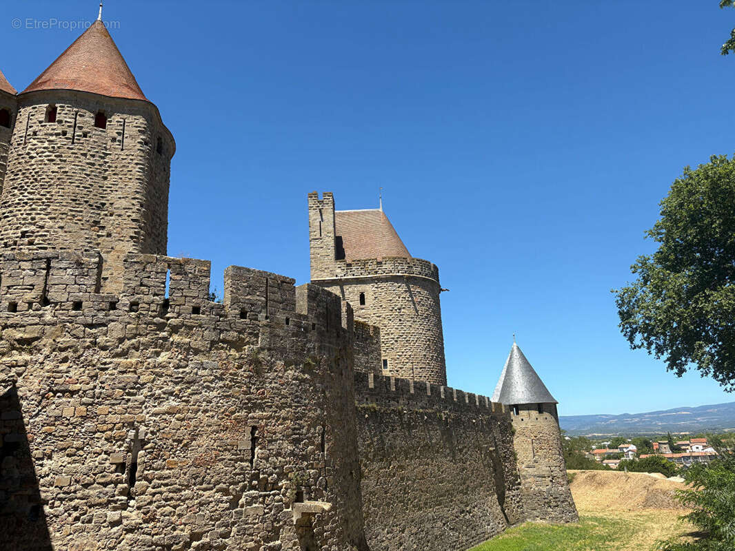 Commerce à CARCASSONNE