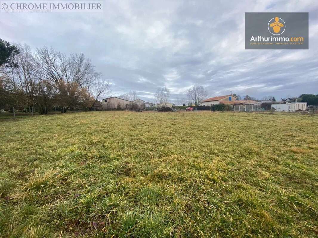 Terrain à PELLEGRUE