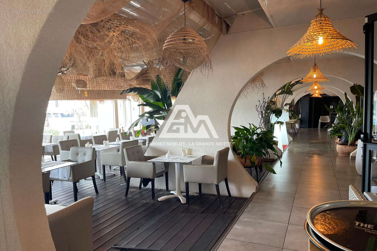 Commerce à LA GRANDE-MOTTE