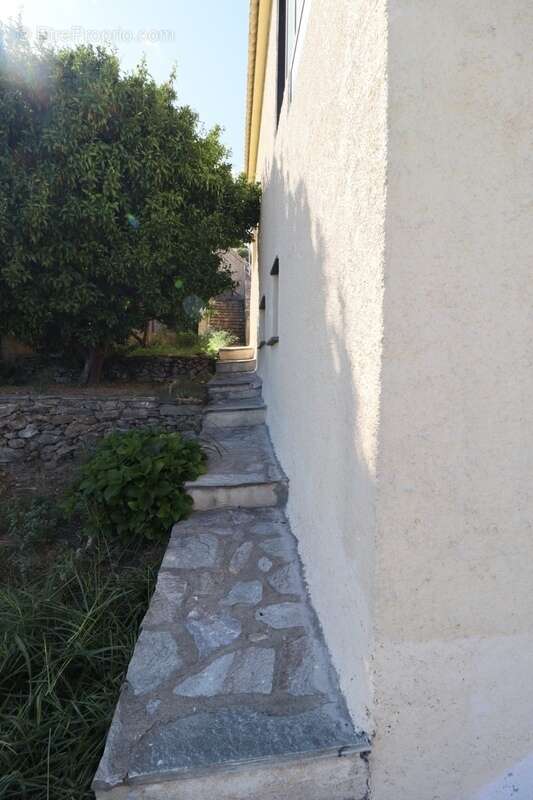 Superbe maison avec vue panoramique mer en Haute-Corse FURIANI (20) - photo 44