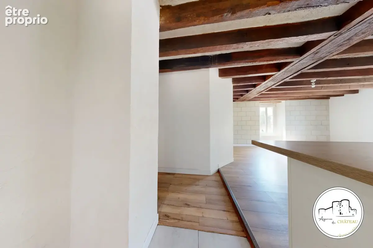 Appartement de caractère   Cœur de ville d’Angers - photo 3