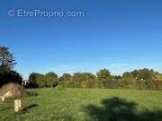 Terrain à MONTGUEUX