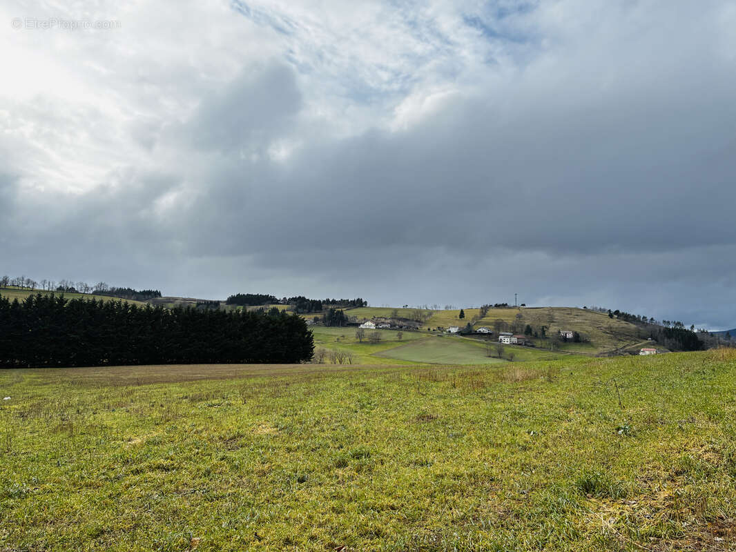 Terrain à YSSINGEAUX