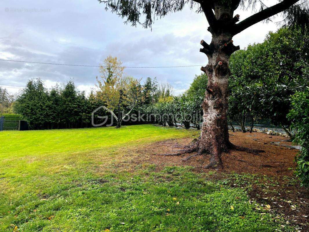 Terrain à LE BREUIL-EN-AUGE