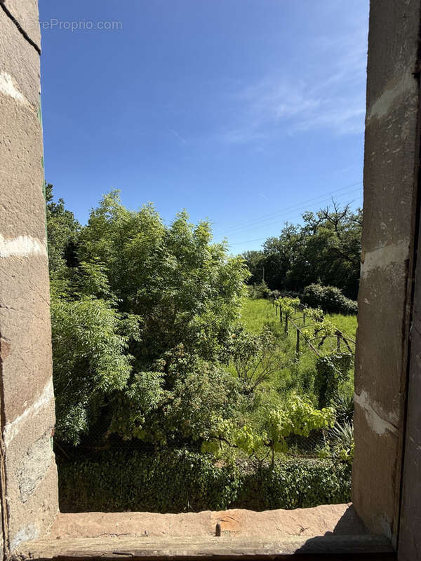 Maison à JOUQUEVIEL