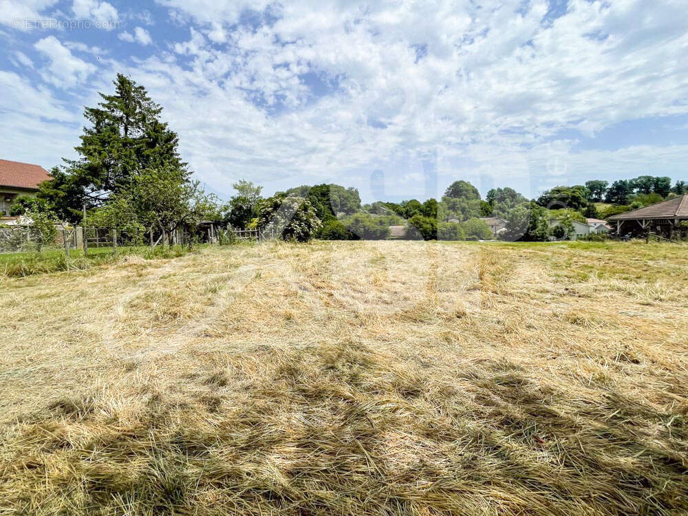 Terrain viabilisé (Lot 11) - Terrain à BEAUCROISSANT