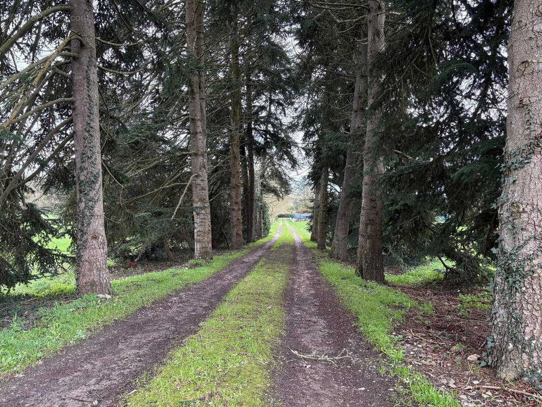 Terrain à SUCE-SUR-ERDRE