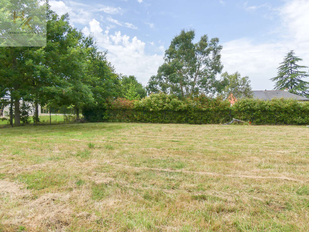 Terrain constructible - photo 4