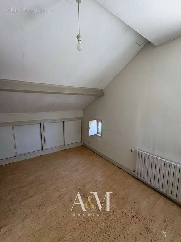 Maison l'isle d'espagnac - photo 9