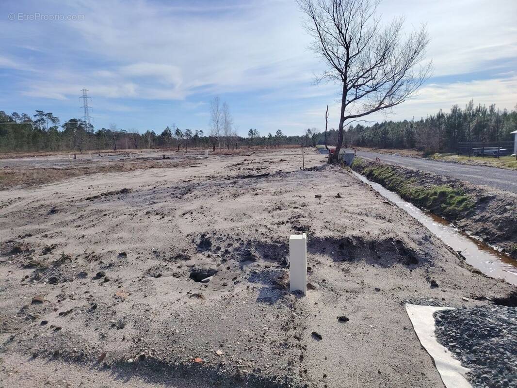 Terrain à MIOS