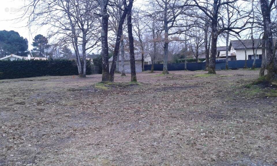 Terrain à SAINT-MEDARD-EN-JALLES