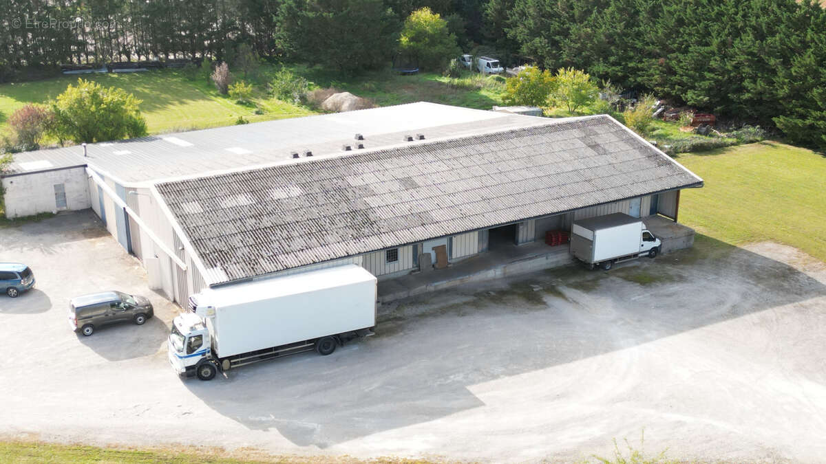 Commerce à LEZINNES