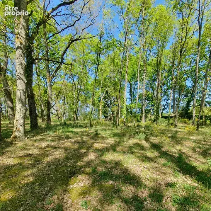 Maison 7 pièces 213 m² à vendre à Mardie (45430) - photo 11