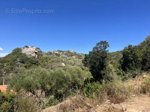 Terrain à FIGARI