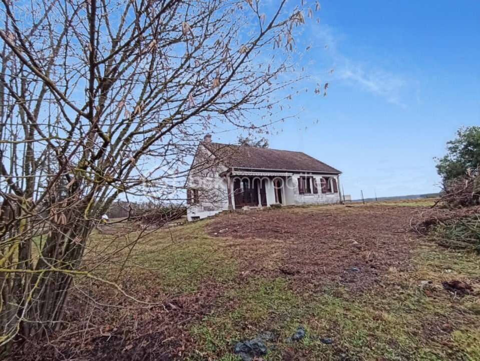 Maison à AUVILLIERS-EN-GATINAIS
